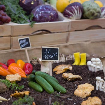 Espacios y escenarios en Galicia Fórum Gastronómico